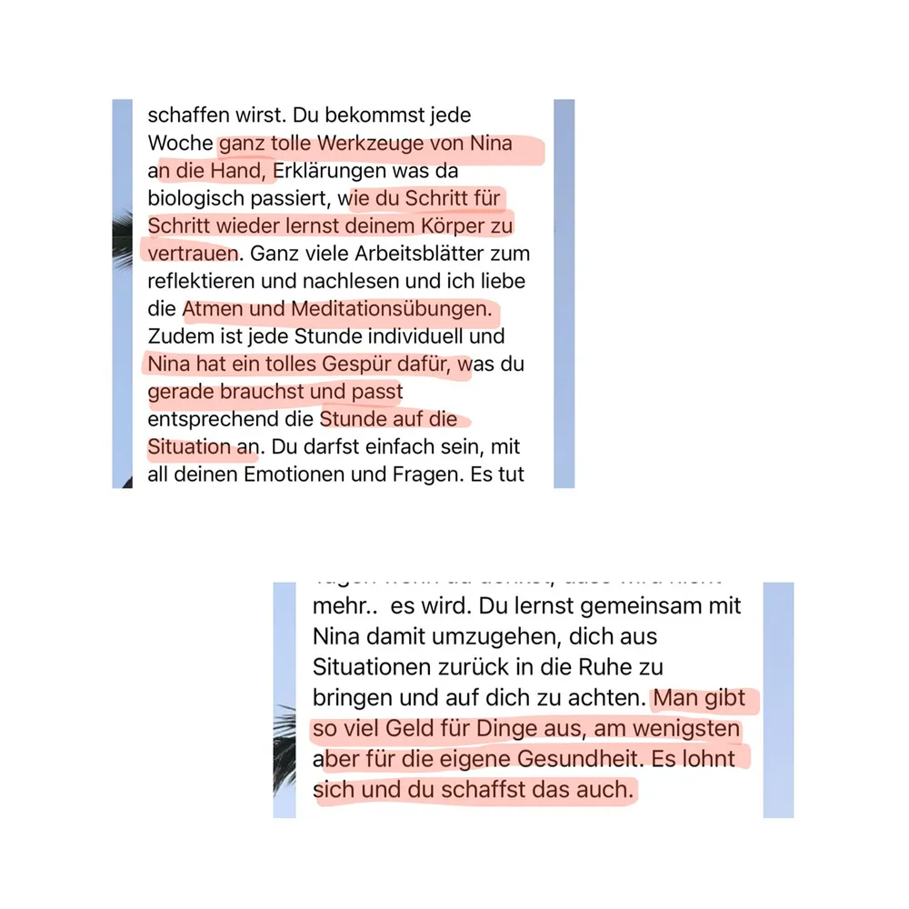 WhatsApp-Nachricht einer Teilnehmerin über den Ablauf: Jede Woche Werkzeuge von Nina, Erklärungen, was biologisch passiert, viele Arbeitsblätter sowie Atem- und Meditationsübungen – und jede Stunde individuell auf die Situation abgestimmt.